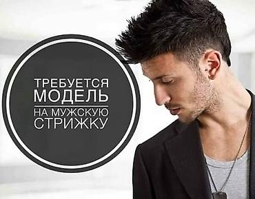 Требуется модель(мужчина,парень) для практики стрижки. бесплатная