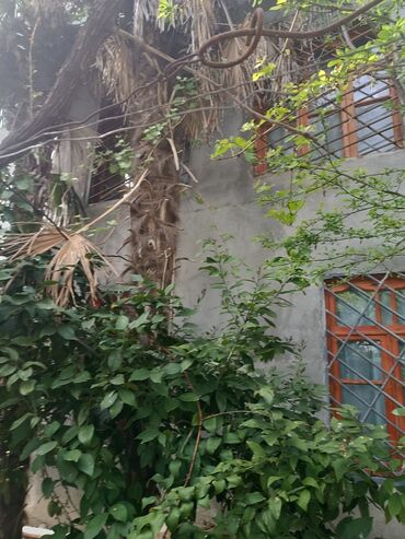 Həyət darvazaları: RT Arxasında körpüdən sağda 2 ci küçədə 2 mərtəbəli 8 otaqlı həyət evi -da lalafo.az — 28 Həyət darvazaları: RT Arxasında körpüdən sağda 2 ci küçədə 2 mərtəbəli 8 otaqlı həyət evi — 28