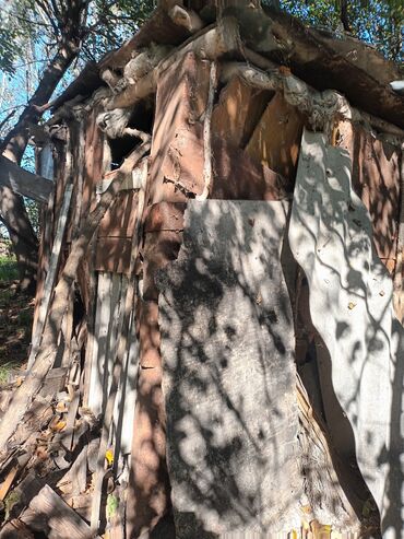 Həyət evləri və villaların satışı: Torpaq bağ sahəsi 42 sot meyvə baği satıram -da lalafo.az — 5 Həyət evləri və villaların satışı: Torpaq bağ sahəsi 42 sot meyvə baği satıram — 5