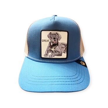 tom tailor jakne muske cena: Cap, color - Light blue