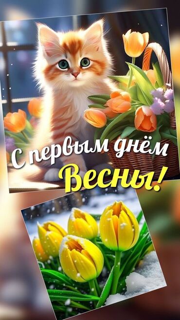требуется музыканты: ТРЕБУЕТСЯ ТЕХНИЧКА НА ПОДЪЕЗДЫ́