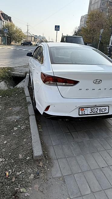 zimniy balon: Hyundai Sonata: 2021 г., 2 л, Автомат, Газ, Седан — 6