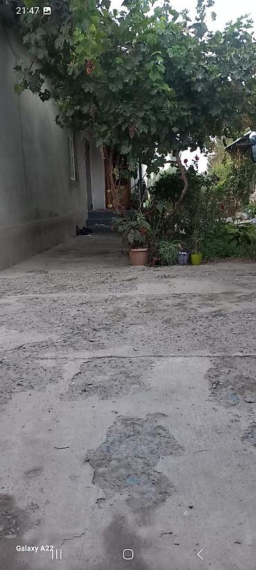 Продажа домов: Дом, 300 м², 5 комнат, Собственник, Косметический ремонт at lalafo.kg — 12 Продажа домов: Дом, 300 м², 5 комнат, Собственник, Косметический ремонт — 12