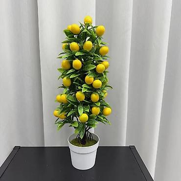 Компрессоры: Клининговая компания. Сокулук эксперт . Генеральная,,влажная,,,,после — 3