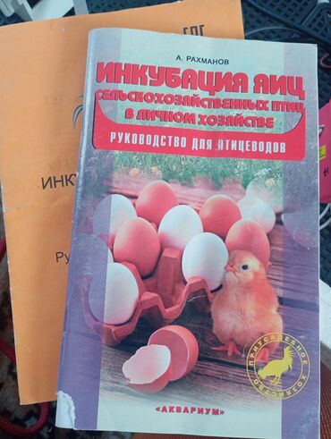 токмок бизнес: Комплект для инкубации яиц в домашних условиях. Включает в себя