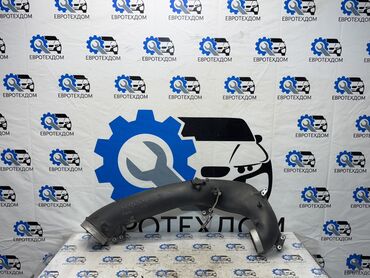 зонты для машин: Патрубка DAF 2015 г., Колдонулган, Оригинал, Германия