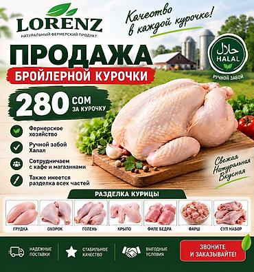 мясо яка цена: 🐔 БРОЙЛЕРНАЯ КУРОЧКА — 280 СОМ Продаём свежую бройлерную курочку от — 1