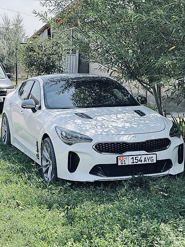 work kiwami: Kia Stinger: 2017 г., 3.3 л, Автомат, Бензин, Лифтбек — 6