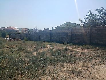 emlak alqi satqisi: 8 sot, Tikinti, Kupça (Çıxarış) — 2