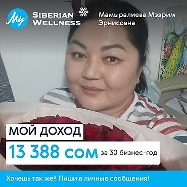 Сетевой маркетинг: Онлайн-работа для сетевиков с Siberian Wellness Что предлагается: - — 6
