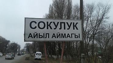 баа: 6 соток, Курулуш, Кызыл китеп — 1