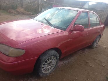 hunday santafi: Hyundai Accent: 1.3 l | 1995 il Sedan