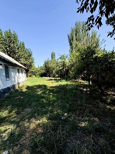 Продажа времянки: 2 комнаты, 45 м², 21 соток, Электричество, Холодная вода — 6