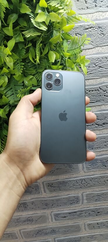 Apple iPhone: IPhone 12 Pro, 128 GB, Graphite, Face ID
