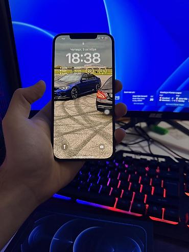 Apple iPhone: IPhone 12 Pro Max, 256 GB, Pacific Blue, Face ID, Barmaq izi — 8