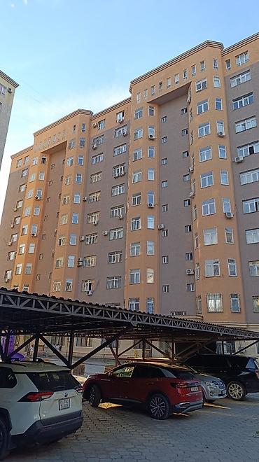 Услуги: Промышленный альпинизм, Сварочные работы на высоте, Высотный клининг Больше 6 лет опыта — 2