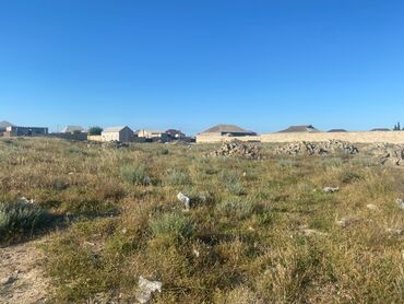 zirə pomidoru: 20 sot, Tikinti, Mülkiyyətçi, Kupça (Çıxarış)