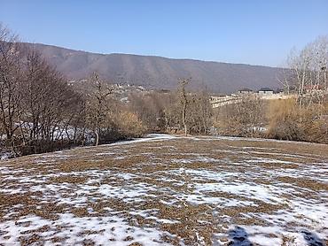 Torpaq sahələrinin satışı: 100 sot, Mülkiyyətçi, Bələdiyyə — 10