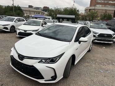 Toyota: Toyota Corolla: 2023 г., 1.8 л, Вариатор, Гибрид, Седан