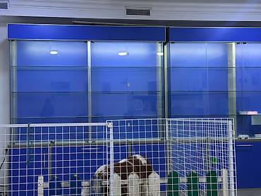 esa: Aptek vitrini satılır təcili. işlənməyib obyektdə qalıb deyə satılır — 1