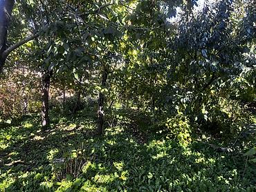 Продажа участков: 8 соток, Для бизнеса, Красная книга, Тех паспорт, Генеральная доверенность — 10