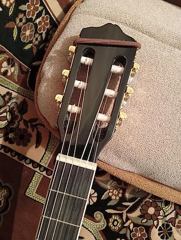 gitara qara: Qara Canavar. Orginal Grape. Səhnə və studiyanın Canavarı. Möhtəşəm — 2
