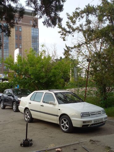 Volkswagen: Volkswagen Vento: 1996 г., 1.8 л, Механика, Бензин, Седан