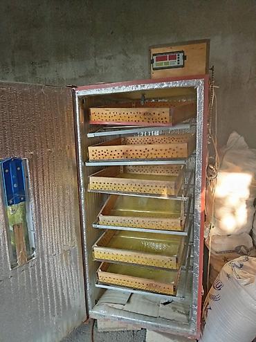 inkubator cuceleri: Real alıcıya endirim olacaq tecili satılır 600 deneli inqibatur — 1