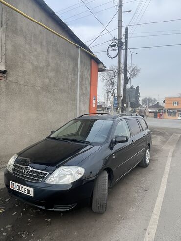 tayota mark x: Toyota Corolla: 2003 г., 1.6 л, Механика, Бензин, Универсал