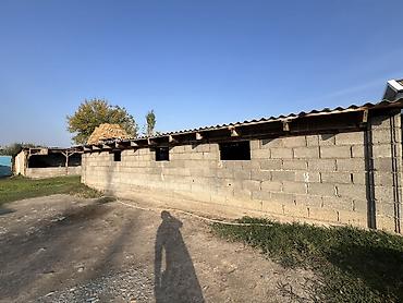 Продажа полдома: Продаю Дом Адрес: Сокулуксий район село Чат-Кель В общим иметься 16 — 6