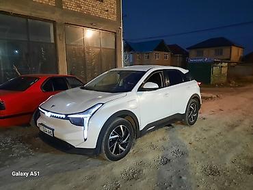 JMEV: JMEV : 2022 г., Электромобиль, Кроссовер — 11