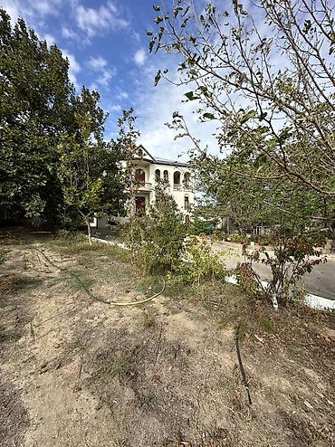 Bağ evlərinin satışı: Digah, 360 kv. m, 6 otaqlı, Hovuzlu, Kombi, Qaz, İşıq — 6