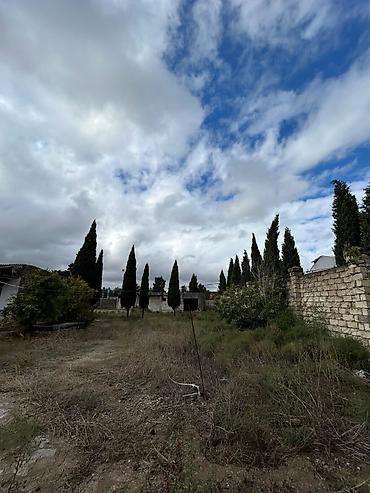 Torpaq sahələrinin satışı: 24 sot, Tikinti, Mülkiyyətçi, Kupça (Çıxarış) — 12