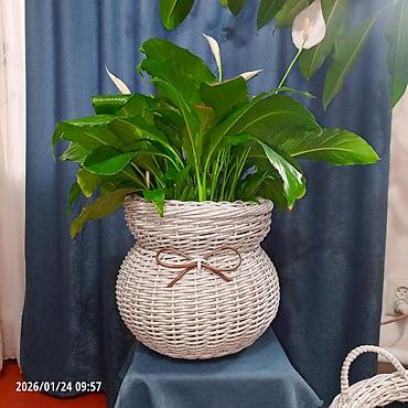 Горшки для растений: Плетёные вазоны для растений от 10-12 литров,в наличии и на заказ — 5