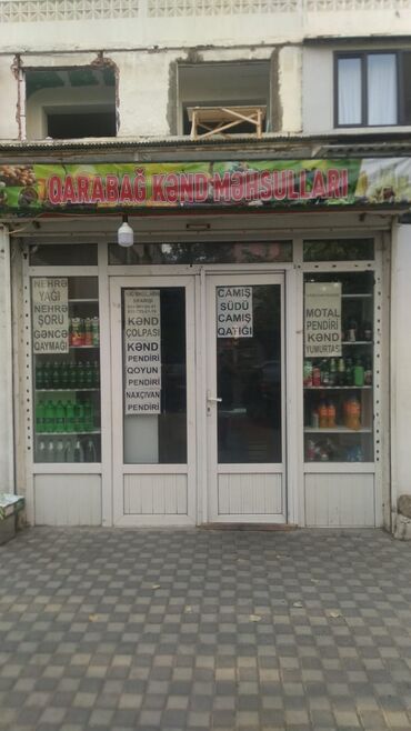 приют для животных в баку адрес: 5️⃣5️⃣0️⃣Aznə icareye verilir. Obyekt 2008 ilden fealiyyet gosterib