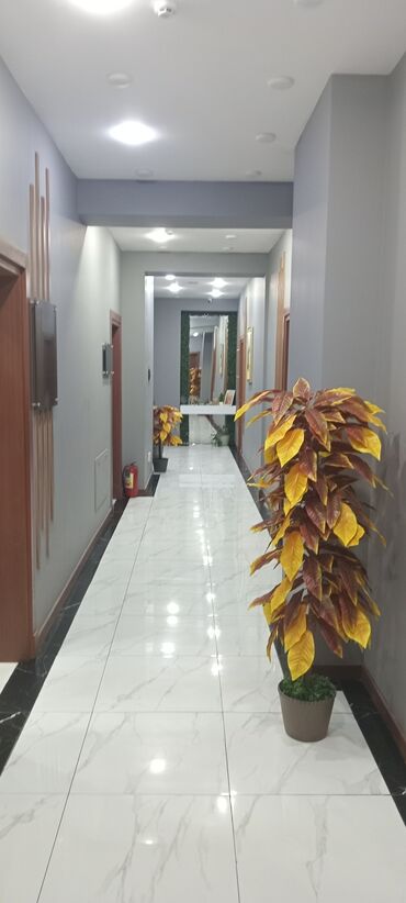 Ofislər: Komunal xərclər qiymətə daxildir .Vasiteçilər z.o narahat etməsinlər — 3