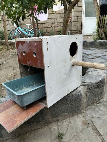 Yuvalar: Kerella yuva 7 eded 4 Iran qefesi 10 eded 10 azn Balaca yuva 47 eded — 1