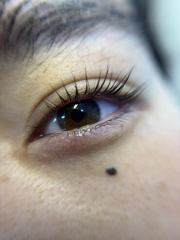 Ресницы: Ресницы, 2D, 3D, Классика, Консультация, Требуются модели, Гипоаллергенные материалы — 9
