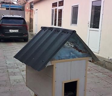 cucə yuvası: Məhsul: Açıq havada istifadə üçün pişik evi Təsvir: Qapalı pişik evi — 2