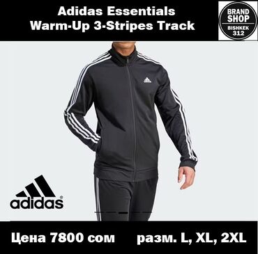 Кроссовки и спортивная обувь: Спортивный костюм XL (EU 42), 2XL (EU 44), L (EU 40), цвет - Черный