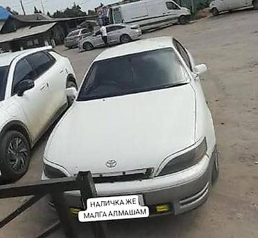 audi a4 2008: Toyota Windom: 1995 г., 2.5 л, Седан — 1