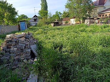 Продажа коттеджей и домов: Дом с хозяйственным двором - Планировка: прихожая, кухня — 30