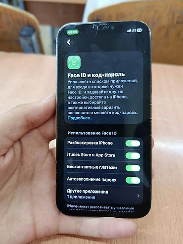 Apple iPhone: IPhone 12 Pro Max, Графит, Чехол — 10