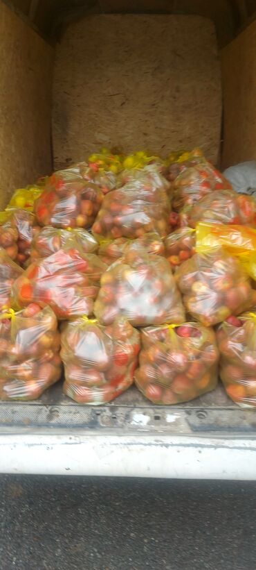 чеснок оптом цена: Яблоки Крипсон, В розницу