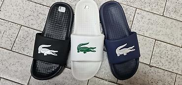 ecco obuca online: Lacoste papuče NOVO Novo Brojevi 41 do 46 fb Moja Kupovina 1 april — 1