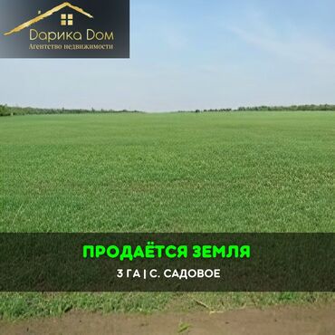 Продажа домов: 📌В селе Садовое продается 3 гектара земли, плодородная, верхняя зона