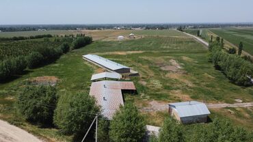 Сельхоз предприятия: 550 соток, Действующий, С оборудованием, Электричество — 11