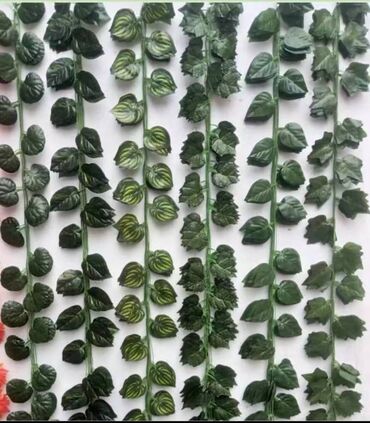 Bağ və bostan üçün digər məhsullar: 19 man baslayan qiymetler — 27