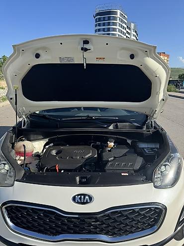 киа хищник: Kia Sportage: 2020 г., 2.4 л, Автомат, Бензин, Кроссовер — 5
