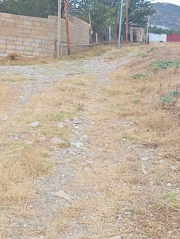 Torpaq sahələrinin satışı: Tikinti — 4